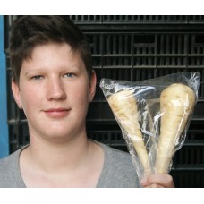 PARSNIPS Bag of 2  SOUTHLAND Grown